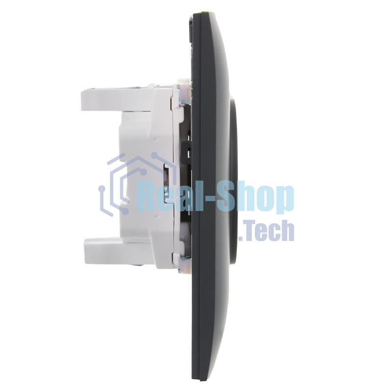 Розетка 2-местная IEK SKANDY SK-R10G 10А (SK-R20-10-K53-F) без заземления, без защитных шторок, 10А в сборе, графит