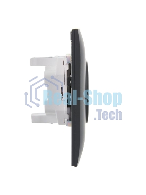 Розетка 2-местная IEK SKANDY SK-R10G 10А (SK-R20-10-K53-F) без заземления, без защитных шторок, 10А в сборе, графит