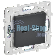 SKANDY Розетка USB A+C 18Вт SK-R13G графит  | SK-U22-018-K53 | IEK