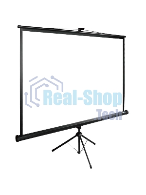 Экран Cactus 220x220 см TriExpert CS-PSTE-220х220-BK 1:1 напольный рулонный