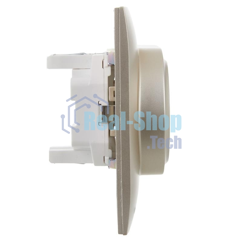 SKANDY Розетка 2-местная с з/к без з/ш 16А сб. SK-R08Sh шампань | SK-R21-16-K37-F | IEK