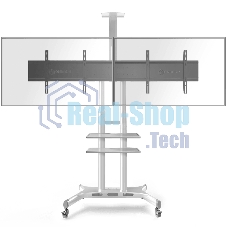 Стойка для телевизора с кронштейном ONKRON TS1881 50