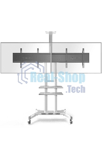 Стойка для телевизора с кронштейном ONKRON TS1881 50