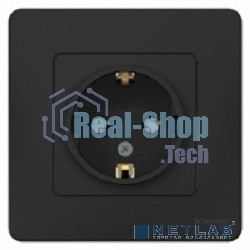 Розетка с/з С/У Антрацит со шторками, 16А, 250В BLNRS001116 Schneider Electric