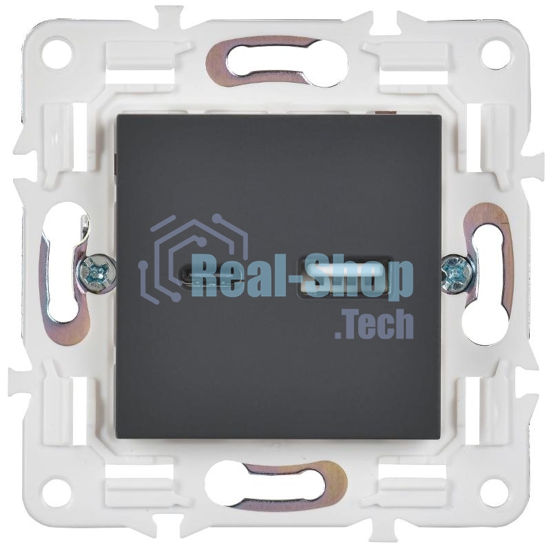 SKANDY Розетка USB A+C 18Вт SK-R13G графит  | SK-U22-018-K53 | IEK