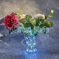 Гирлянда Neon-night 