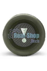 Портативная акустика JBL Flip 6, камуфляж