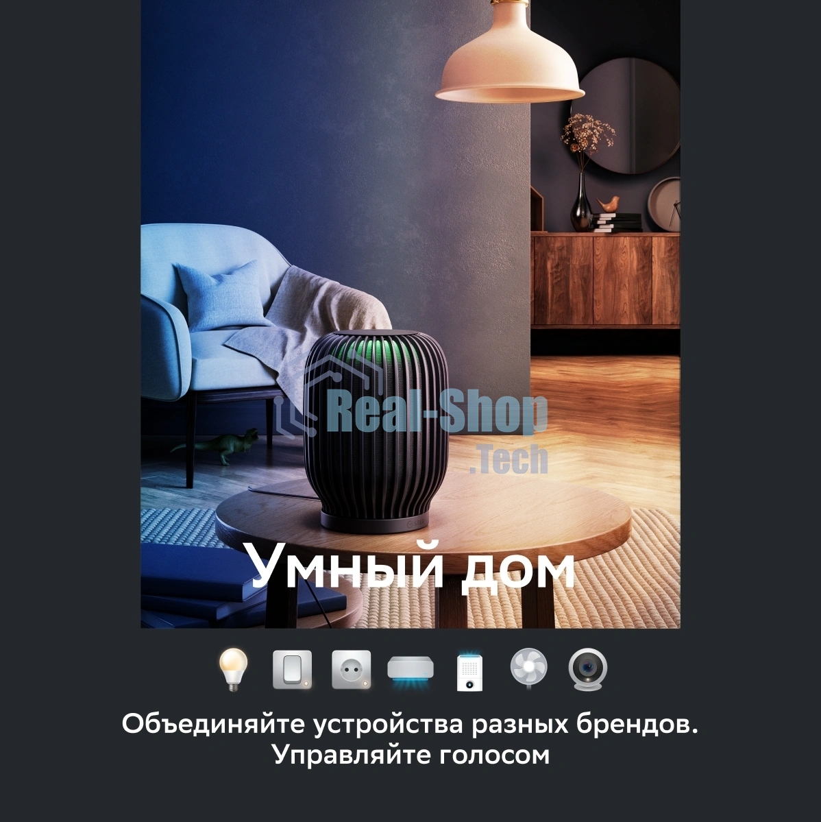 Умная колонка Sber SberBoom, 40Вт, стандартная, 1 динамик, Мультирум, Стереопара, Wi-Fi, Bluetooth 5.0, Салют, белый