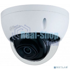 Видеокамера IP Dahua DH-IPC-HDBW2431EP-S-0280B 2.8-2.8мм цветная
