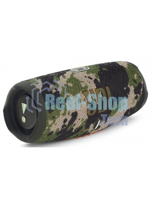 Портативная акустика JBL Charge 5, камуфляж