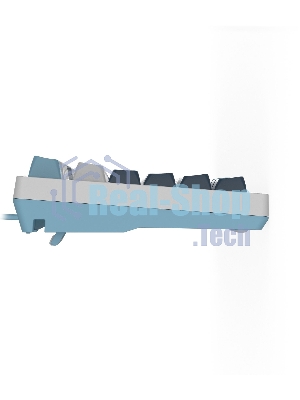 Клавиатура проводная A4Tech Fstyler FS300 (FS300 PANDA SNOWBOARDING), USB, белый/синий