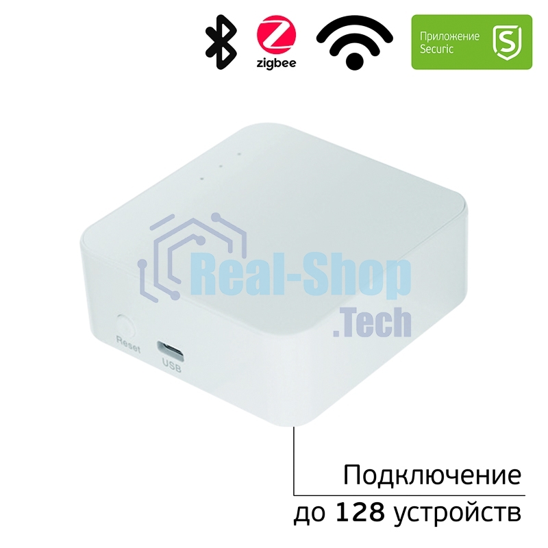 Умный шлюз Securic SEC-GT-101 