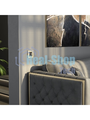 Рамка на 1 пост AluMax (шампань) W0013511