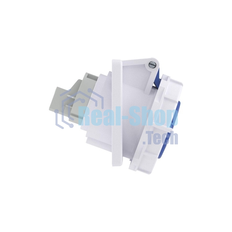 DKC Розетка панельная с наклоном PAS IP67 16А 2P+E 230В