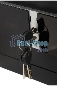 Сейф мебельный Cactus CS-SF-T25 250x350x300мм электронный