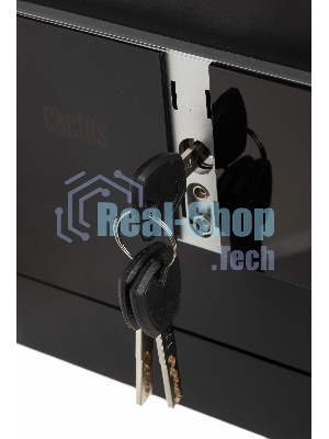 Сейф мебельный Cactus CS-SF-T25 250x350x300мм электронный