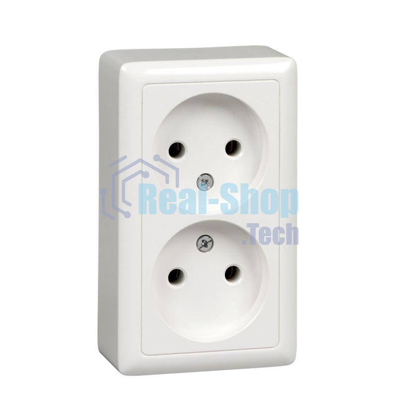 Розетка 2-м ОП Хит 16А IP21 без заземл. без защ. шторок с изолир. пласт. белый SchE RA16-237I-B