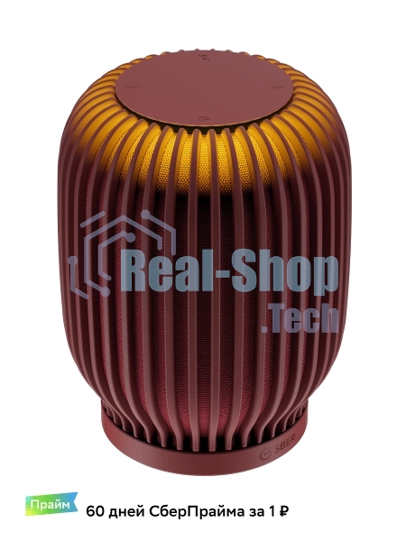 Акустическая система серии SberBoom модели SBDV-00090, терракотовый, торговой марки SBER