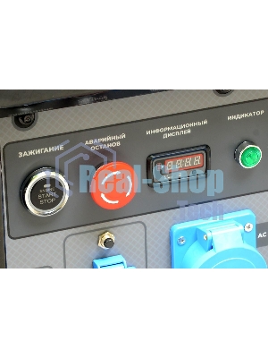 Генератор ТСС SGG 18000EH3LA 18кВт