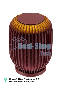 Акустическая система серии SberBoom модели SBDV-00090, терракотовый, торговой марки SBER