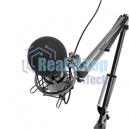 Микрофон Ritmix RDM-180 черный