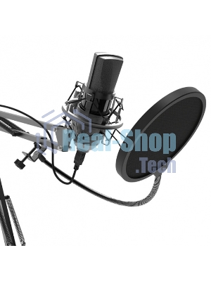 Микрофон Ritmix RDM-180 черный