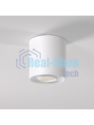 Светильник потолочный светодиодный 25041/LED 10W 4200K белый