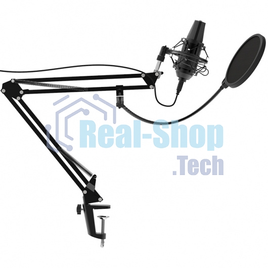 Микрофон Ritmix RDM-180 черный