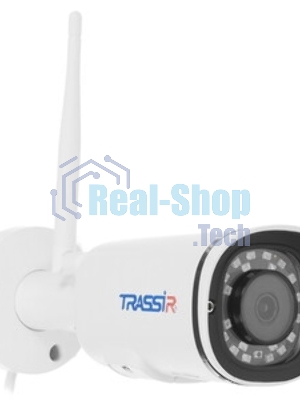 Видеокамера IP Trassir TR-D2121IR3 3.6-3.6мм цветная