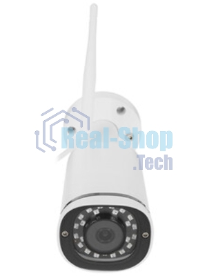 Видеокамера IP Trassir TR-D2121IR3 3.6-3.6мм цветная