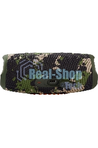 Портативная акустика JBL Charge 5, камуфляж