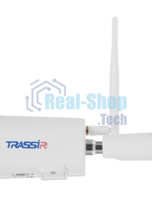 Видеокамера IP Trassir TR-D2121IR3 3.6-3.6мм цветная