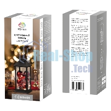 Декоративный фонарь Neon-night с шариками, черный корпус, размер 14х14х27 см, цвет теплый белый