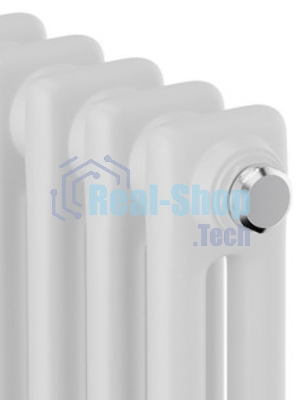 Дизайн-радиатор Royal Thermo Insignia C2180 - 12 секц. RAL9016