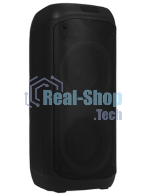 Акустическая система AIWA CAS-400
