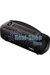 Портативная колонка Hyundai H-PS1020 черный 16W 2.0 BT 10м 1500mAh