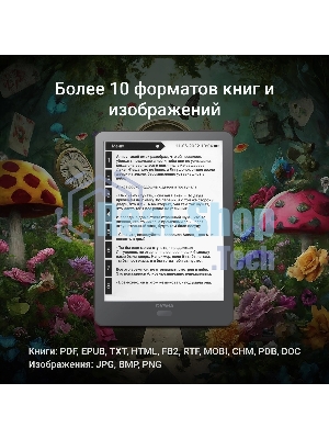 Электронная книга Digma P6 6
