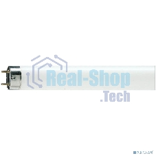 Лампа люминесцентная TL-D 36W/33-640 36Вт T8 4100К G13 PHILIPS 928048503351/872790081582500