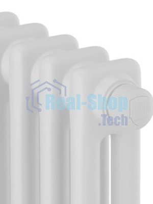 Дизайн-радиатор Royal Thermo Insignia VC2180 - 06 секц. Technoline