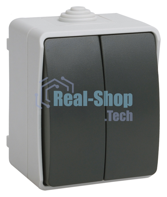 Выключатель 2-кл. ОП ФОРС 10А IP54 сер. ВС20-2-0-ФСр ИЭК EVS20-K03-10-54-DC