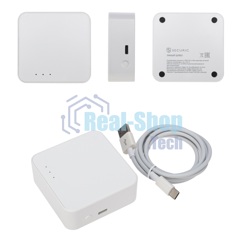 Умный шлюз Securic SEC-GT-101 