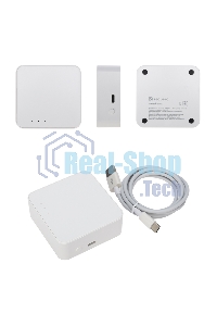 Умный шлюз Securic SEC-GT-101 