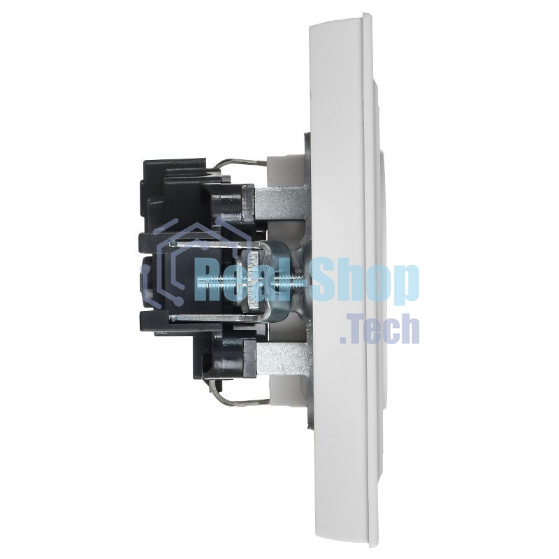 Розетка IEK BR-R14-16-K91-F BRITE РСР14-1-0-БрАБ 16А в сборе с заземл. защ. шторки арктич. бел.