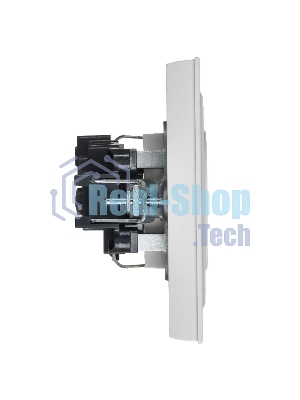 Розетка IEK BR-R14-16-K91-F BRITE РСР14-1-0-БрАБ 16А в сборе с заземл. защ. шторки арктич. бел.