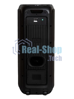 Акустическая система AIWA CAS-550