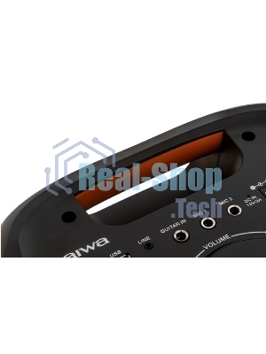 Акустическая система AIWA CAS-550
