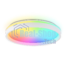Светодиодный светильник RGB Ambrella light FZ607 WH/GD белый/золото IP20 66W 3000K-6500K+RGB D490*85 (ПДУ ИК)