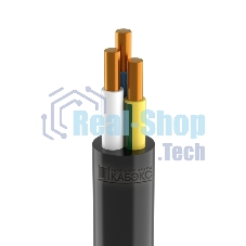 Кабель ППГнг(А)-HF 3х10 ОК (N PE) 0.66кВ (м) Кабэкс ТХМ00194095 Кабель ППГнг(А)-HF 3х10 ОК (N PE) 0.66кВ (м) Кабэкс ТХМ00194095