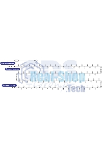 Гирлянда Neon-night 