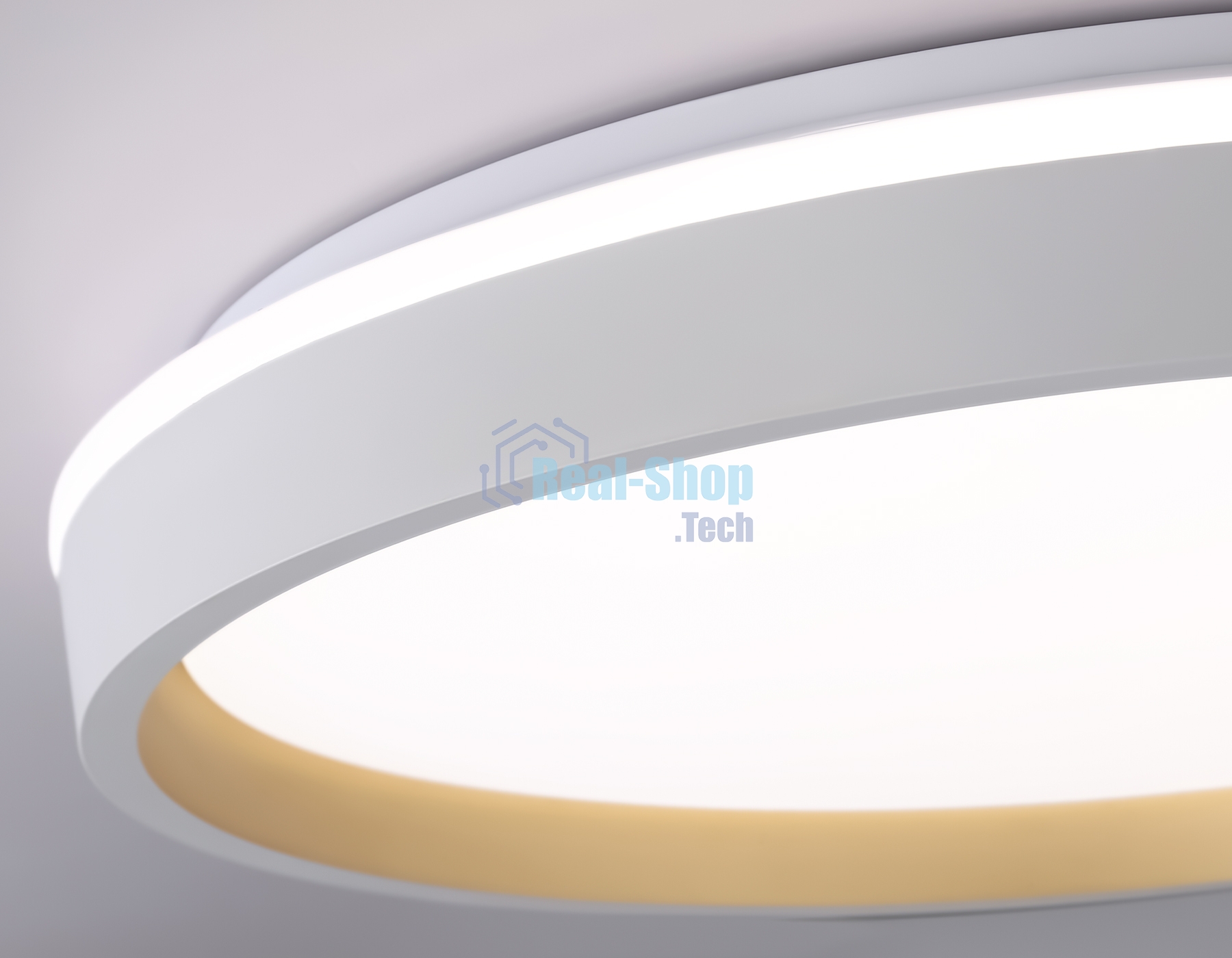 Светодиодный светильник RGB Ambrella light FZ607 WH/GD белый/золото IP20 66W 3000K-6500K+RGB D490*85 (ПДУ ИК)